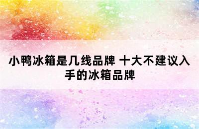 小鸭冰箱是几线品牌 十大不建议入手的冰箱品牌